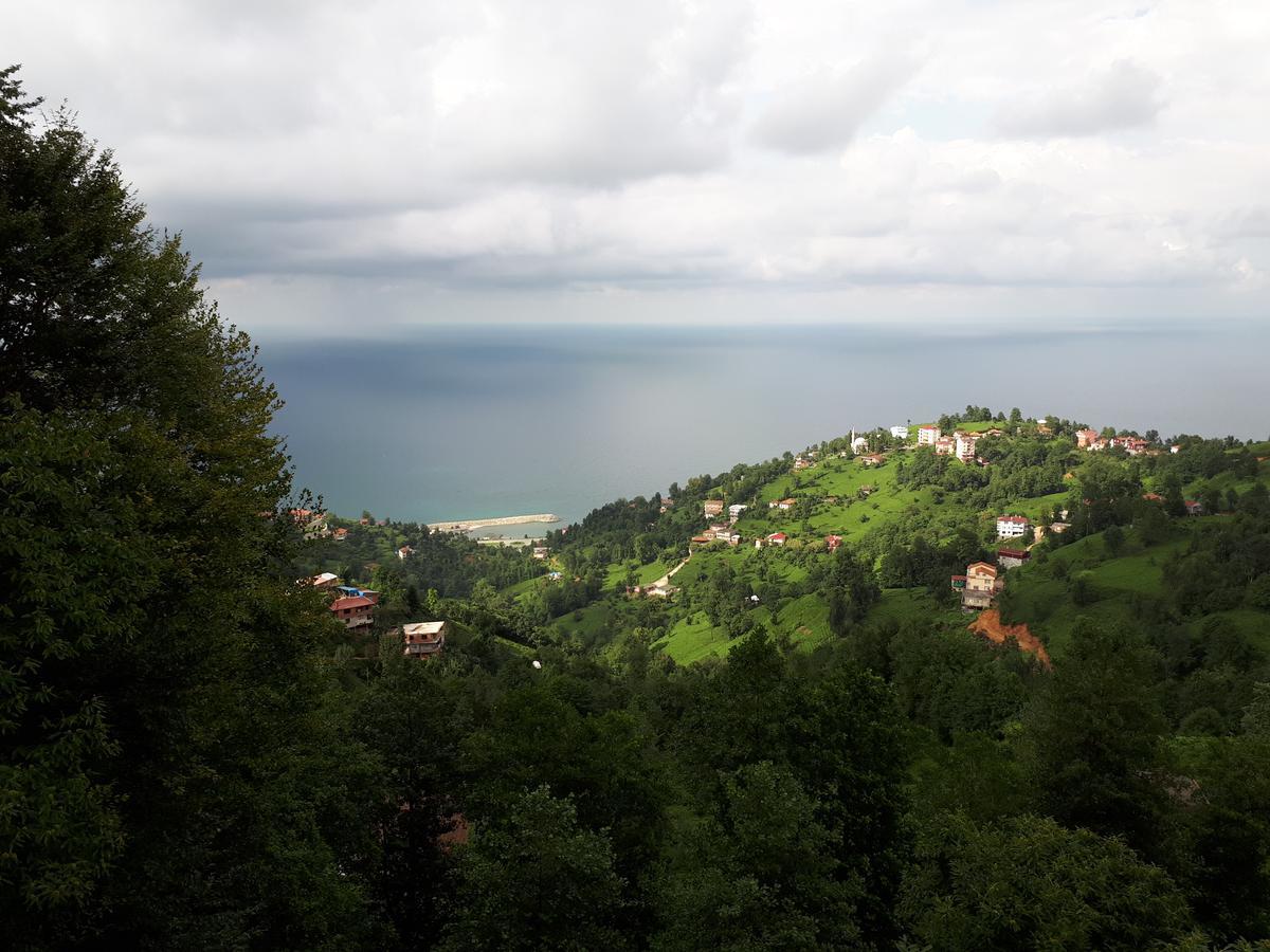 Kaf Dagi Konak Hotel Rize Eksteriør bilde